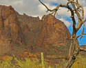photo thumbnail #6