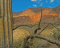 photo thumbnail #11