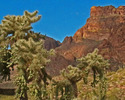 photo thumbnail #12