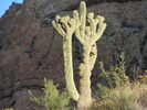 photo thumbnail #1