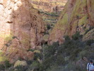 photo thumbnail #5