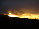 photo thumbnail #15