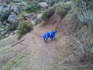photo thumbnail #1