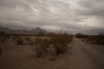 photo thumbnail #8