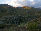photo thumbnail #1