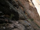 photo thumbnail #10