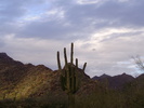 photo thumbnail #2
