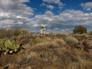 photo thumbnail #9