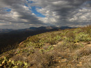 photo thumbnail #15