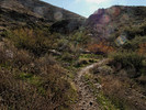 photo thumbnail #15