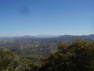 photo thumbnail #3