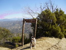 photo thumbnail #5