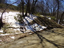 photo thumbnail #11