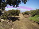 photo thumbnail #15