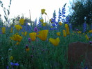 photo thumbnail #1