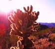photo thumbnail #6