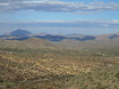 photo thumbnail #1