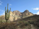 photo thumbnail #13
