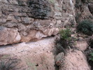 photo thumbnail #12