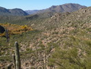 photo thumbnail #2