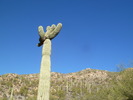 photo thumbnail #3