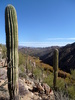 photo thumbnail #7
