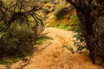 photo thumbnail #4