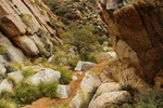photo thumbnail #6