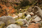 photo thumbnail #7