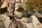 photo thumbnail #9