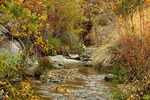 photo thumbnail #13