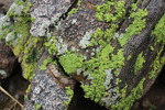 photo thumbnail #1