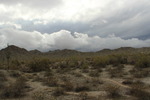 photo thumbnail #7