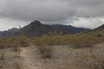 photo thumbnail #8