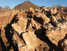 photo thumbnail #5