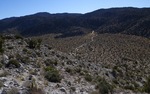 photo thumbnail #4
