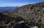 photo thumbnail #7