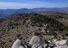 photo thumbnail #9