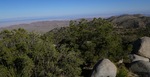 photo thumbnail #12