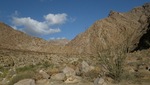 photo thumbnail #1