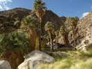 photo thumbnail #12
