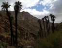 photo thumbnail #13