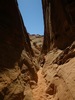 photo thumbnail #15