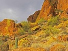 photo thumbnail #8