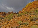 photo thumbnail #9