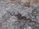 photo thumbnail #13
