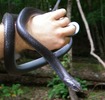 photo thumbnail #1