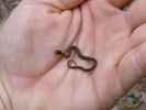 photo thumbnail #8