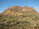 photo thumbnail #1