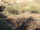 photo thumbnail #7